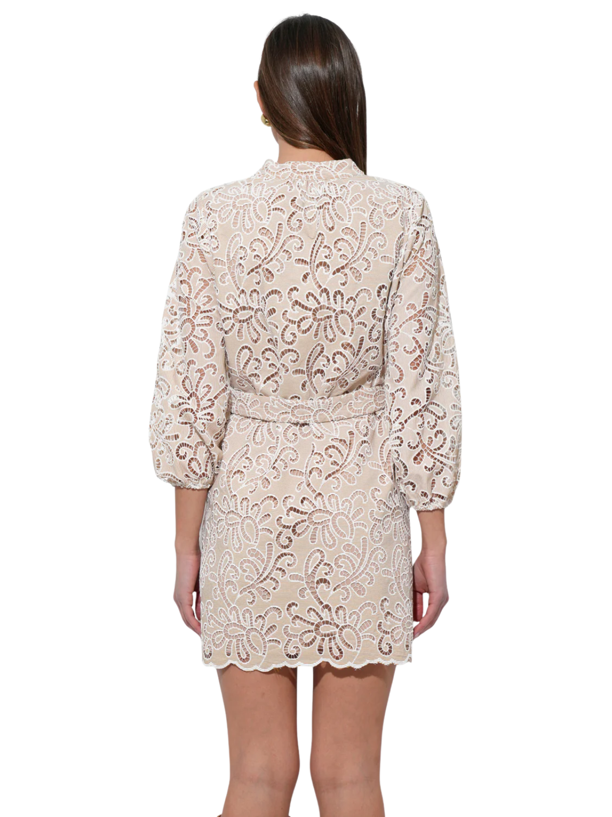 Lina Eyelet Scalloped Dress