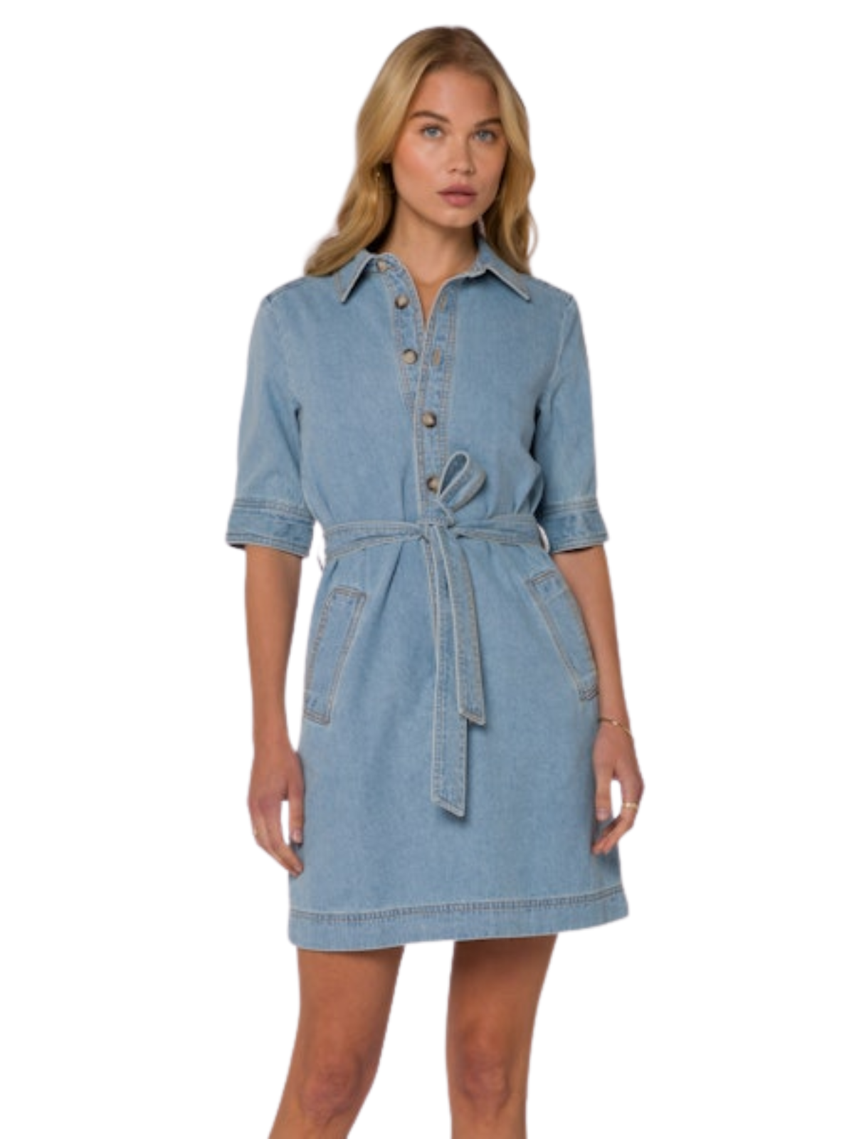 Alabama Denim Dress