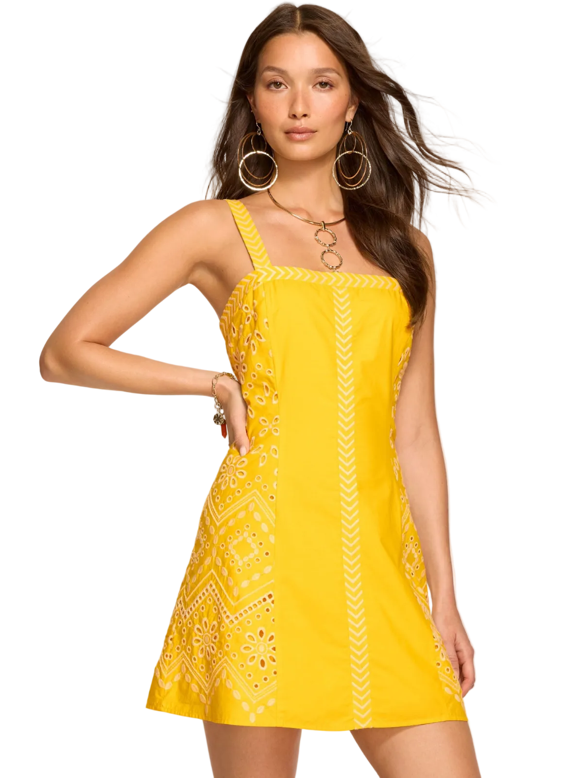 Fawn Mini Dress_Ramy Brook_A05263009