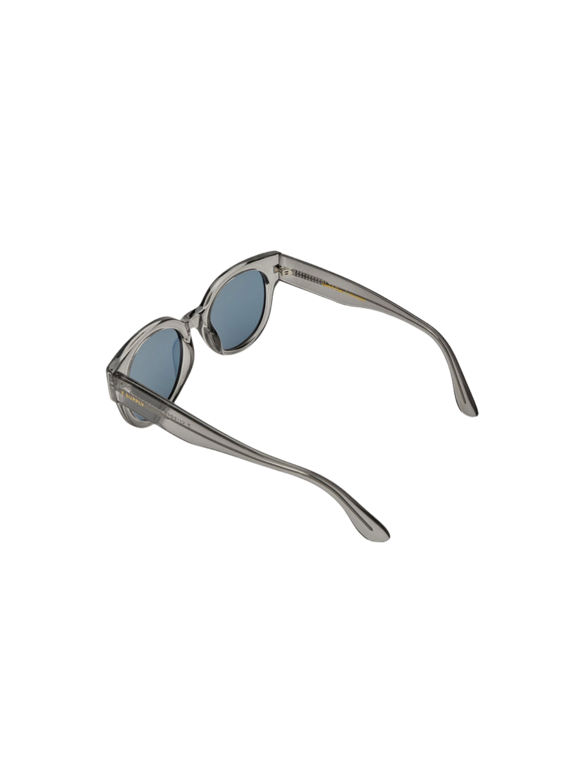 Lunch Date Polarized Sunglasses_Z Supply_ZEI222101S