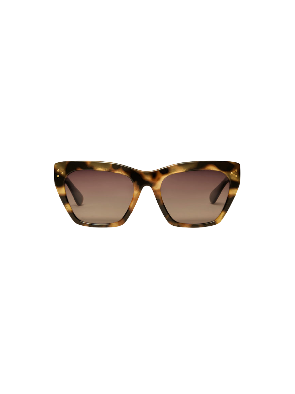 Park Ave Polarized Sunglasses_Z Supply_ZEI262168S