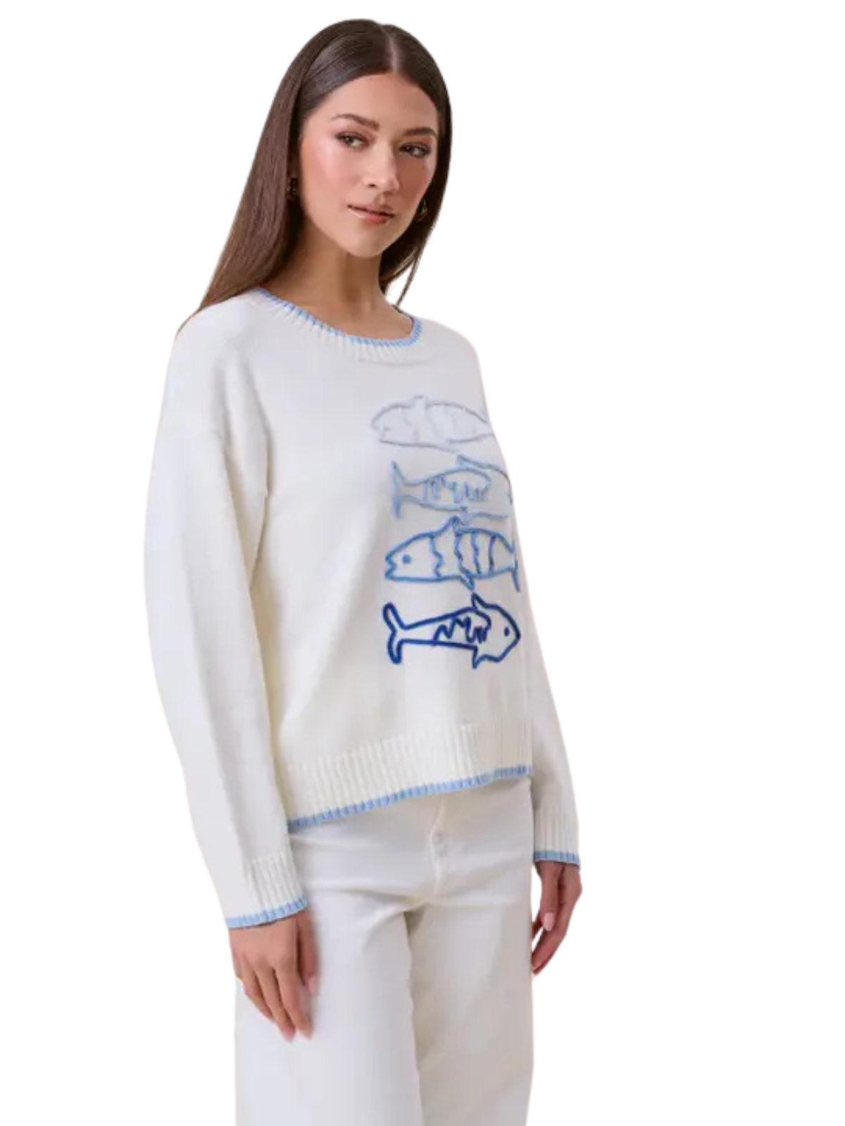Sardine Embroidered Sweater
