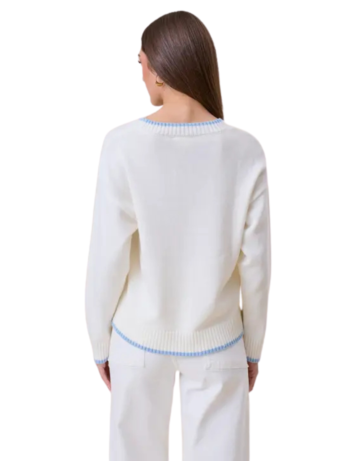 Sardine Embroidered Sweater