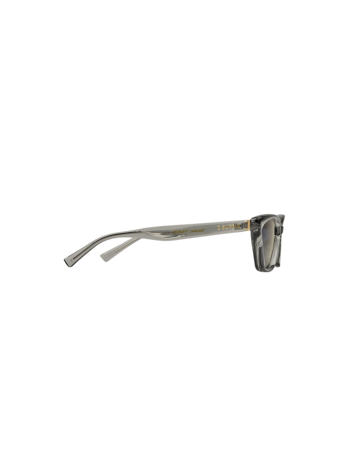 Staycation Polarized Sunglasses_Z Supply_ZEI242134S
