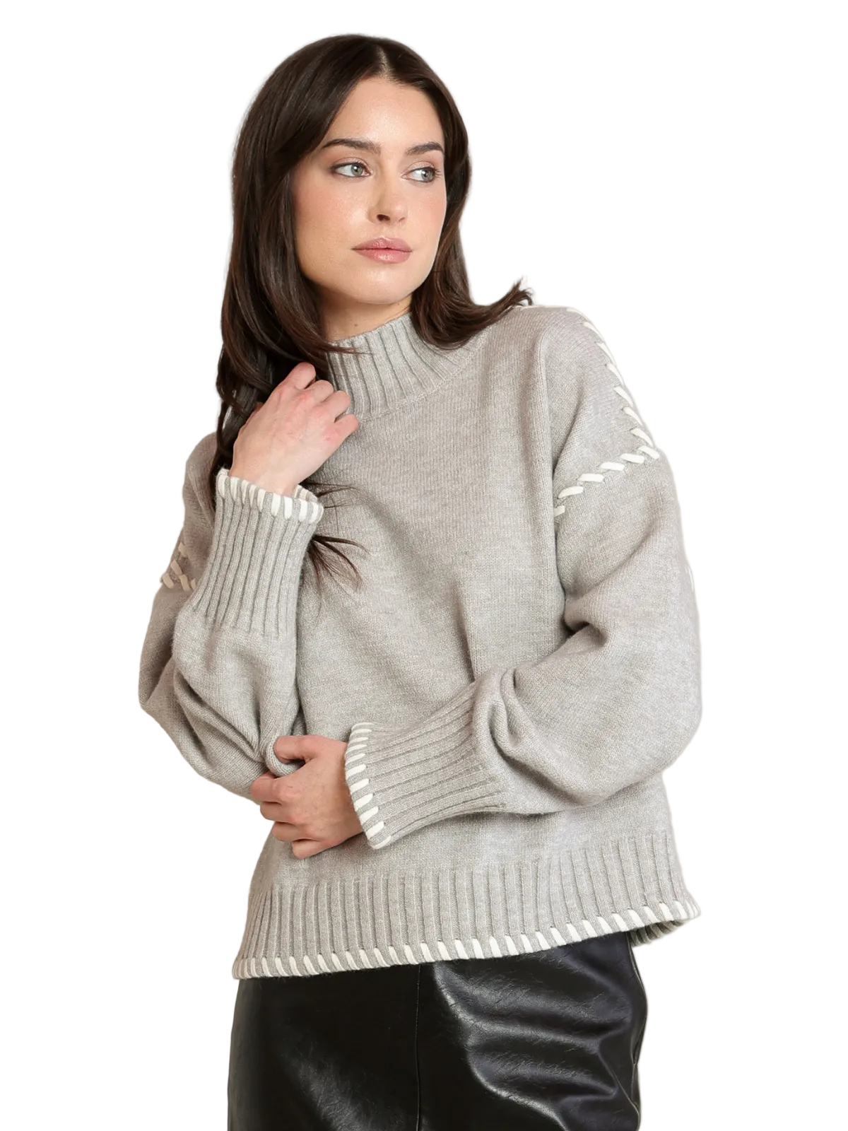 Stitch Turtle Neck Sweater_Dex_2827031
