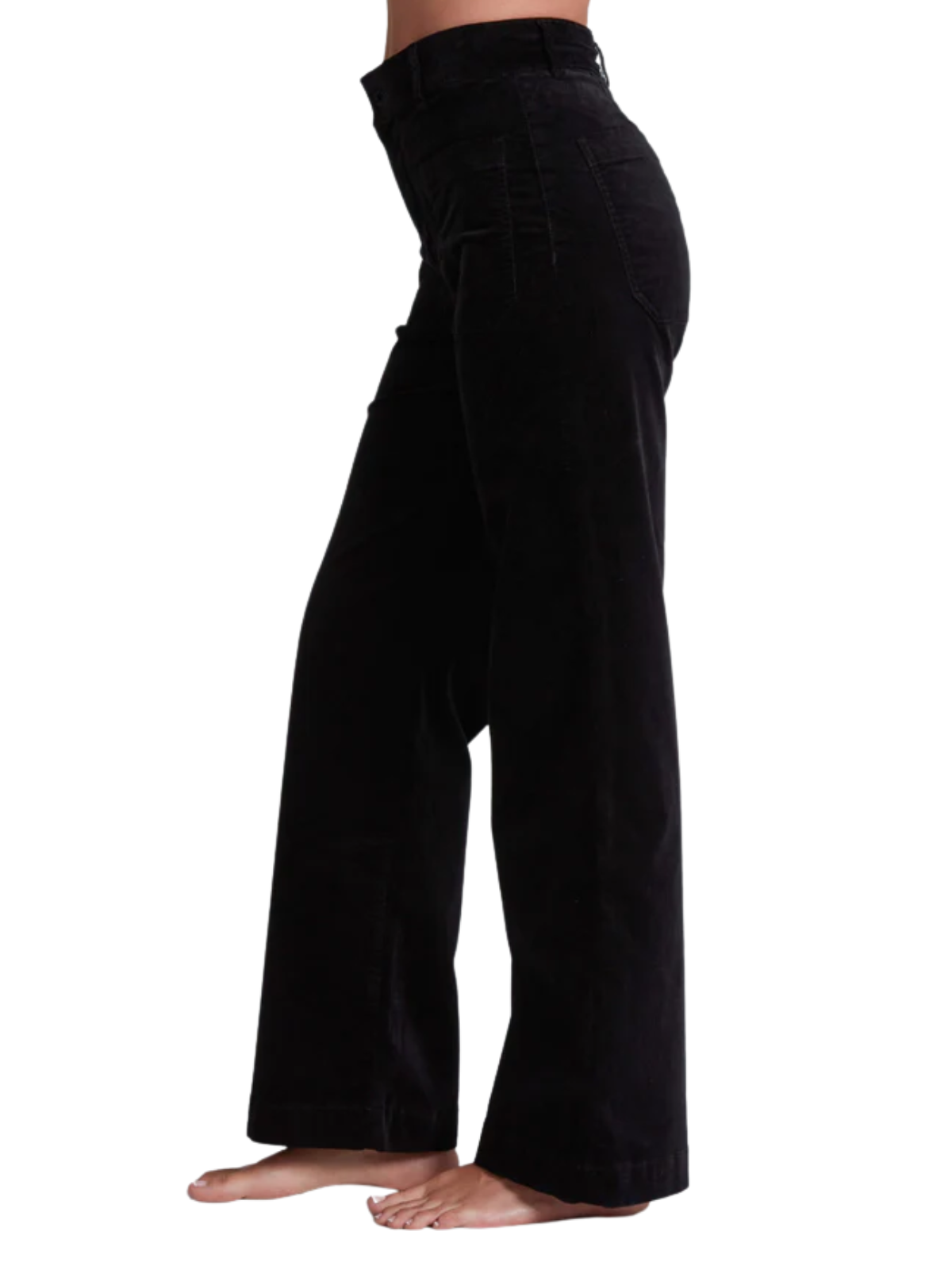 Sailor Velvet Pant