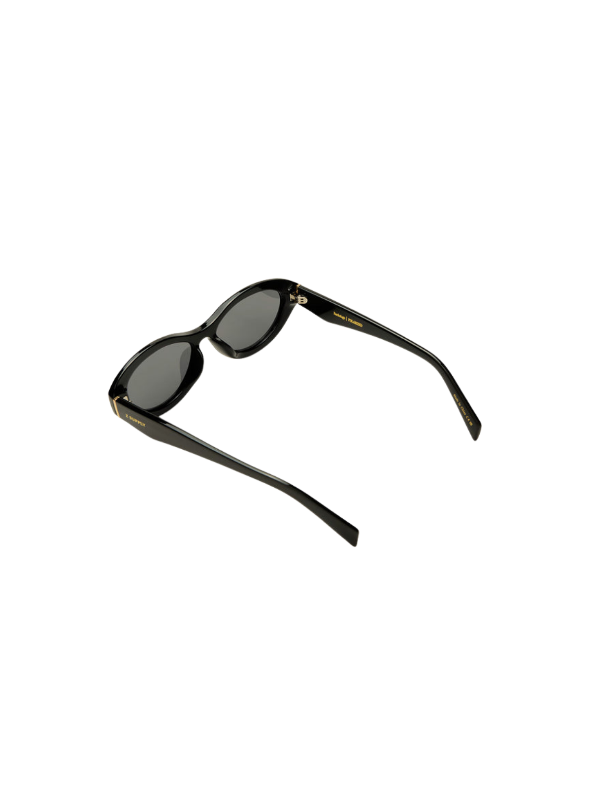 Backstage Polarized Sunglasses_Z Supply_ZEI262165S