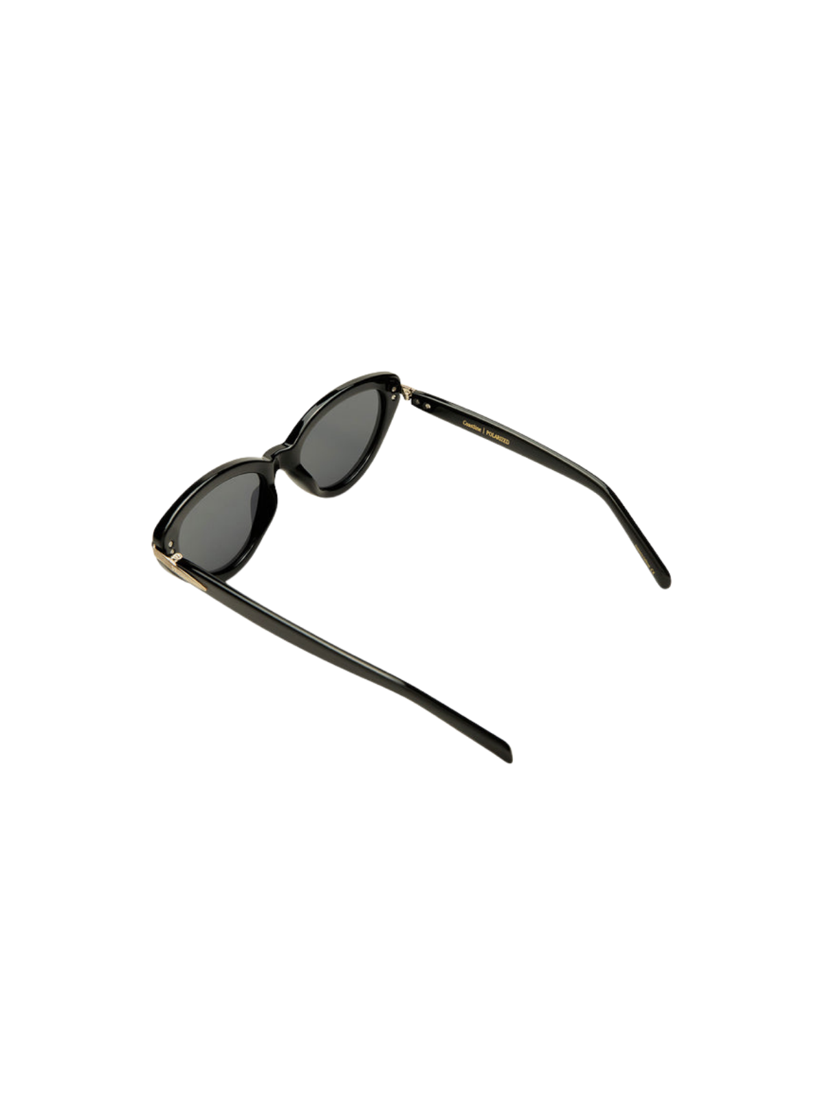 Coastline Polarized Sunglasses_Z Supply_ZEI262166S