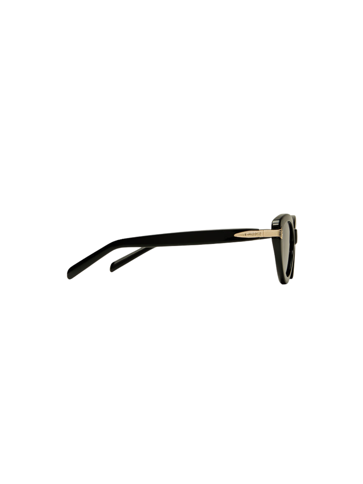 Coastline Polarized Sunglasses_Z Supply_ZEI262166S