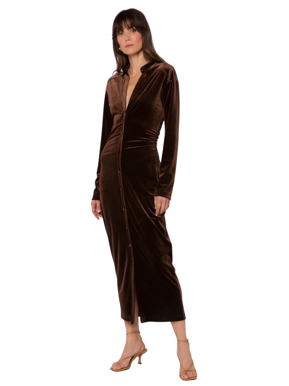 Phoenix Velvet Dress